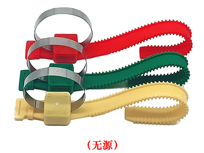 無(wú)源表帶式無(wú)線測(cè)溫傳感器